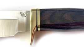 Buck Vanguard fixed blade hunting knife