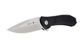 Buck Paradigm Folding Knife Black 0590BKS
