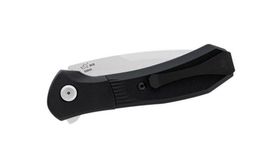 Buck Paradigm Folding Knife Black 0590BKS