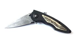 Buck Rush Teardrop Damast faltbares Sammlermesser