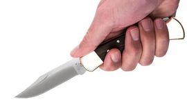 0110BRSFG-Buck hunter 110 folding knife