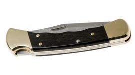 0110BRSFG-Buck hunter 110 folding knife