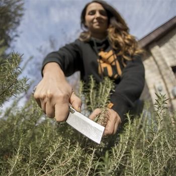 Gerber New Flatiron folding knife