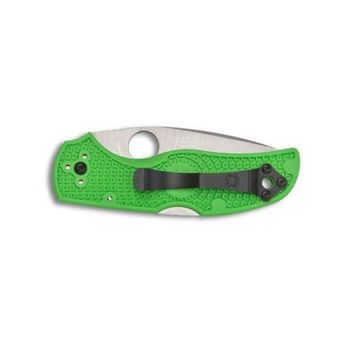 Spyderco Native 5 Salt Green Pocket Knife