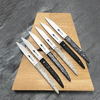 CHC.T6ASS Boxed set of 6 Charles Canon table knives with mixed handles