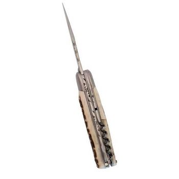 Douris Chastel 3-piece deer pocket knife DC2986CER