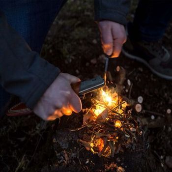 B40.UL Lionsteel "B40" olive wood fixed knife