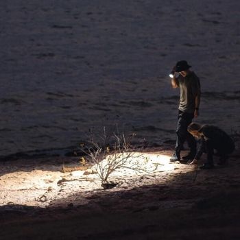 NEB.FLT.1016.G Rechargeable NEBO Davinci 8000 torch