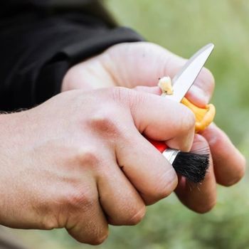 12206 Karl-Johan red Mora mushroom knife