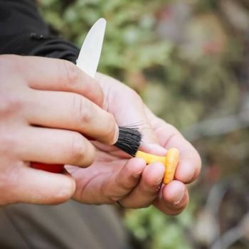 12206 Karl-Johan red Mora mushroom knife