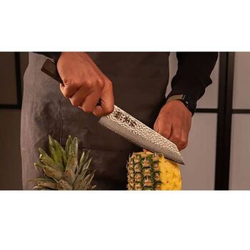 Japanisches Messer Kiritsuke Kotai Densho Klinge KTJPDSBK190 19 cm