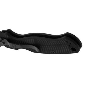 Spyderco Para Military 2 Salt G10 folding knife C81GMCBKP2