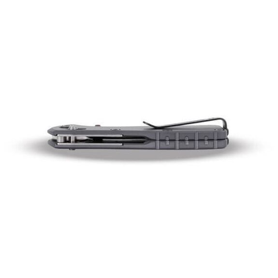 Buck "Mini Range Elite" Klappmesser 0790GYS