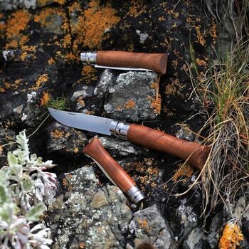 Opinel No. 06 "Tradition LX" folding knife in walnut