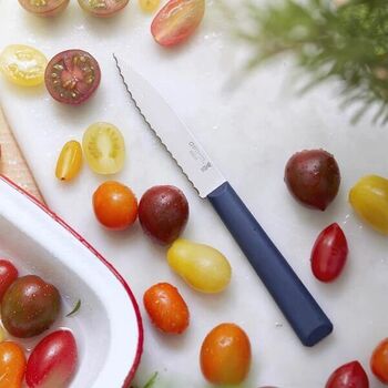 Couteau d'office cranté Opinel N°313 "Essentiels" bleu 2353