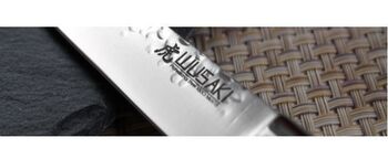 Coffret 2 Couteaux Santoku et office Wusaki Pakka