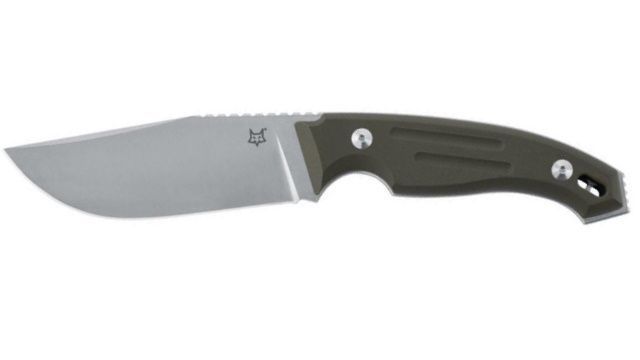 Fox Dagger Octopus Vulgaris