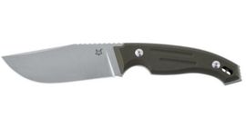 Fox Dagger Octopus Vulgaris