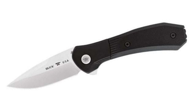 Buck Paradigm Folding Knife Black 0590BKS