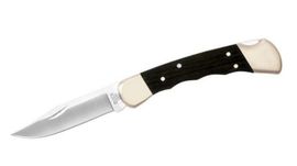 0110BRSFG-Buck hunter 110 folding knife