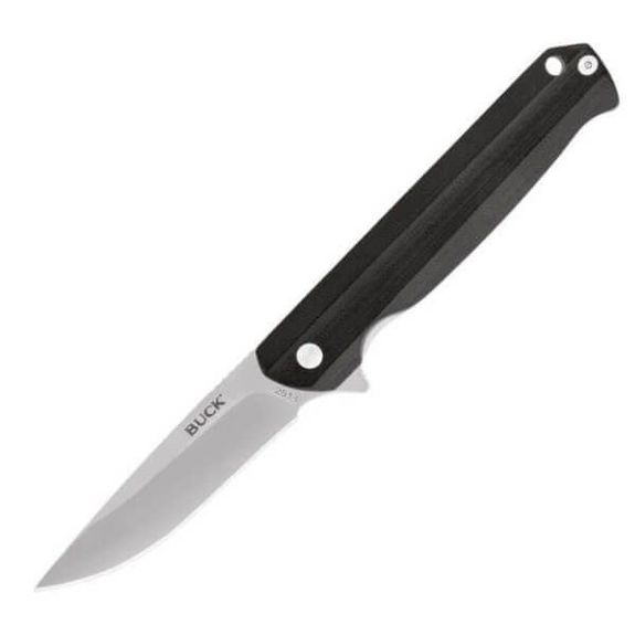 0251BKS-Langford Buck Folding Knife