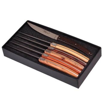 Boxed set of 6 Le Thiers table knives by Goyon-Chazeau "Pirou Brasserie" different woods