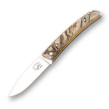 Salamandra folding knife with raw horn handle 64265