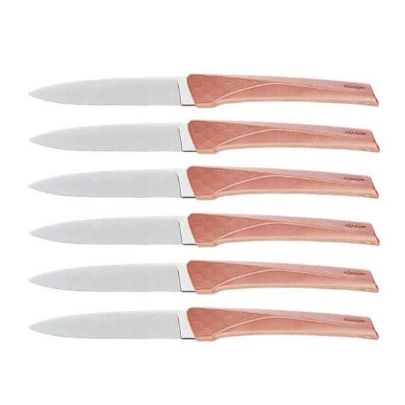 Coffret 6 couteaux de table Florinox "Kiana" rouge Terracotta KIA6.T