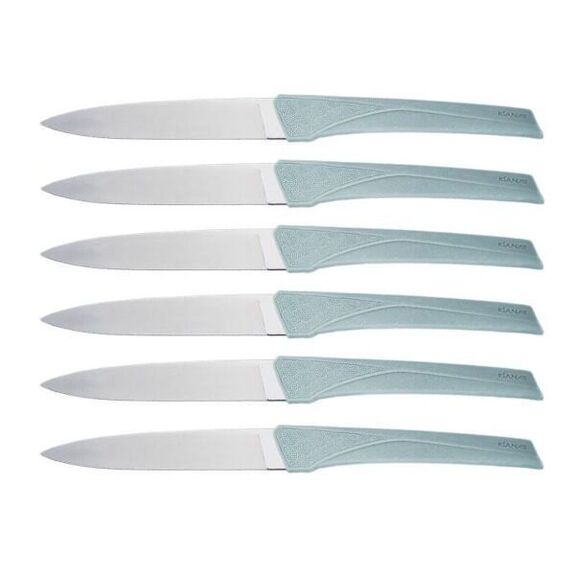 Coffret 6 couteaux de table Florinox "Kiana" vert sauge KIA6.S