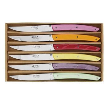 Coffret 6 couteaux de table BJB "Le Thiers®" assortis