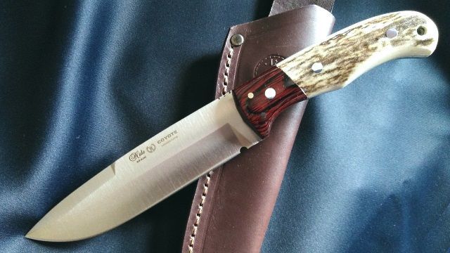 Hunting knife Nieto Coyote deer horn handle 3069