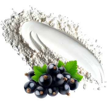 Natural powdered food flavouring - Blackcurrant