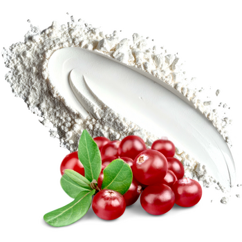Natural powdered food flavouring - Cranberry