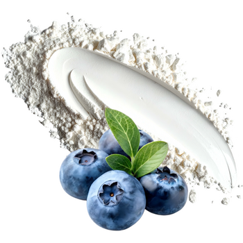 Natural powdered food flavouring - Blueberry