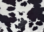 Tissu Velours Aspect Daim Imprimé Vache