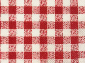 Tissu Intissé Vichy Carreaux 10/10mm