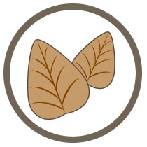 Pâtes FUSILLI au SARRASIN BIO vegan sans allergènes Probios : 250 grammes