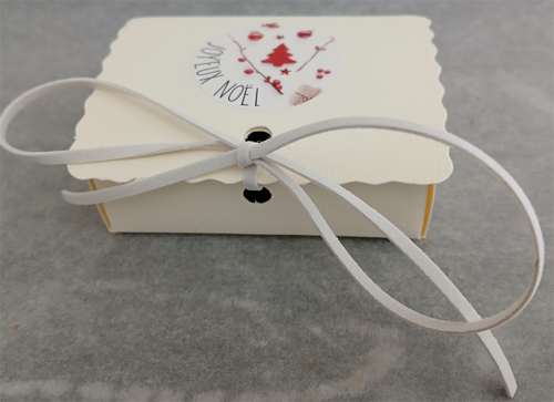 6 plaques sur le thème de Noël en chocolat NOIR ONCTUEUX 60% BIO vegan sans allergènes Exquidia : 66g