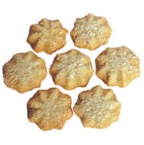 Biscuits COCO RIZ BIO vegan sans gluten sans lait sans oeufs sans soja sans arachide Werz : 110 grammes