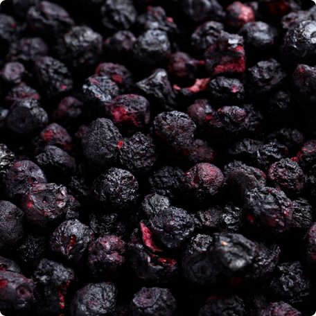 MYRTILLES crunchy entières lyophilisées BIO vegan sans allergènes Organica : 16 grammes