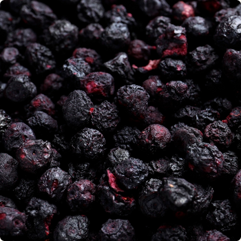 MYRTILLES crunchy entières lyophilisées BIO vegan sans allergènes Organica : 16 grammes