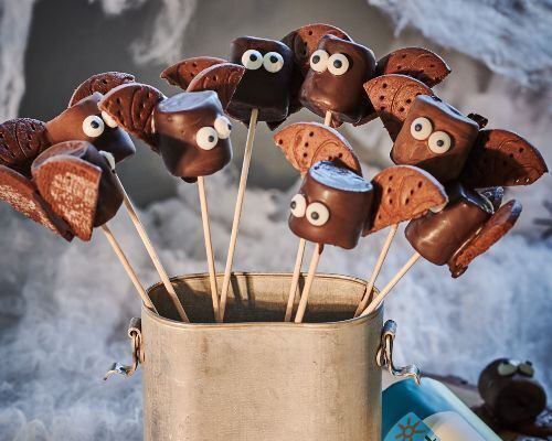 MarshMALLOWS (guimauves) vanille et fruits BIO sans allergènes Pural : 100 grammes