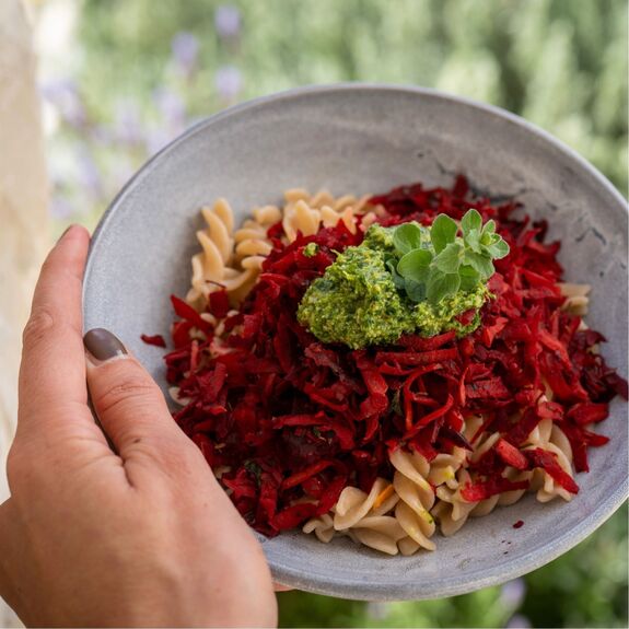 Pâtes PENNE au riz complet BIO vegan sans allergènes Alnavit : 250 grammes