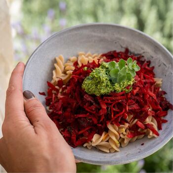 Pâtes PENNE au riz complet BIO vegan sans allergènes Alnavit : 250 grammes