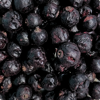 CASSIS crunchy entières lyophilisées BIO vegan sans allergènes Organica : 25 grammes