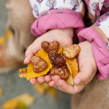 COEURS croustillants banane cacao BIO sans gluten sans lait sans oeufs sans soja sans coques : 30g