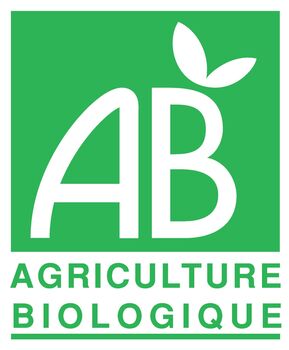 1 SUCETTE RENARD en chocolat ALTERNATIVE au lait (sans lait) BIO vegan sans allergènes Exquidia : 20g
