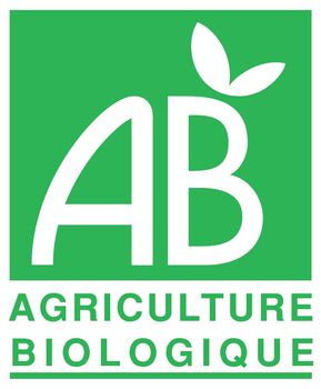 12 MINI VOITURES (PON PON BLEU) en chocolat ALTERNATIVE au lait (sans lait) BIO vegan sans allergènes Exquidia : 66g