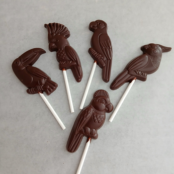 1 sucette TOUCAN en chocolat NOIR 60% BIO vegan sans allergènes Exquidia :  19 grammes