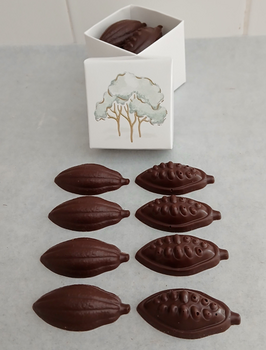 Coffret Arbre + 8 cabosses en chocolat NOIR 60% BIO sans allergènes Exquidia : 54g